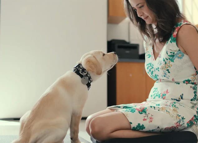 Movies Netflix: Woman and dog facing one another