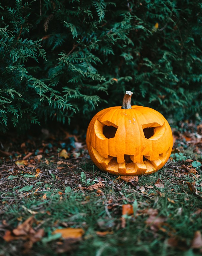 fall activities carve a jack o lantern