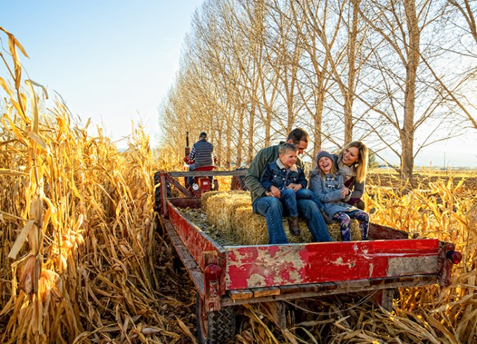 fall activities go on a hayride