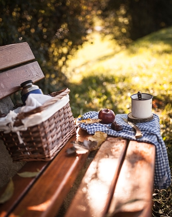 fall activities pack a fall picnic