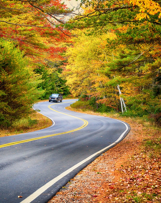 fall activities take a drive in the countryside