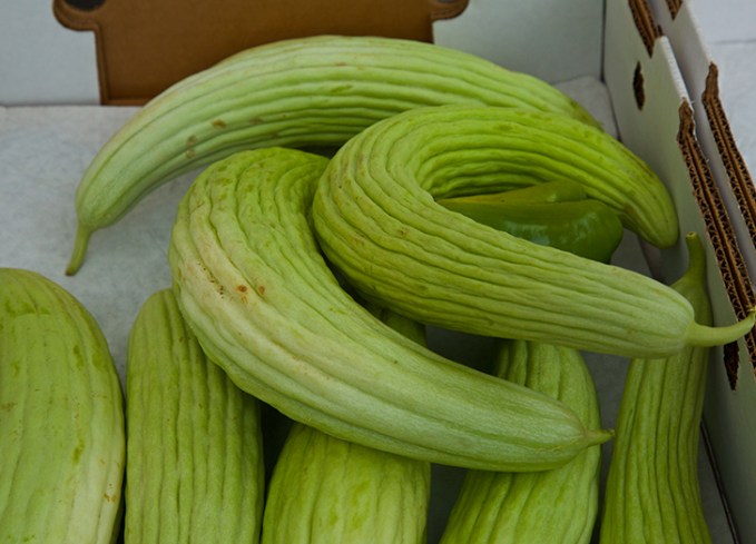 types of melons armenian cucumber