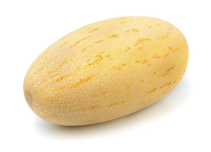 types of melons persian melon