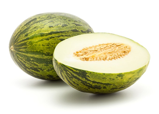 types of melons santa claus melon