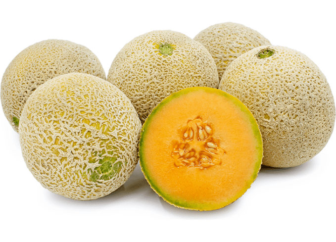 types of melons ambrosia melon